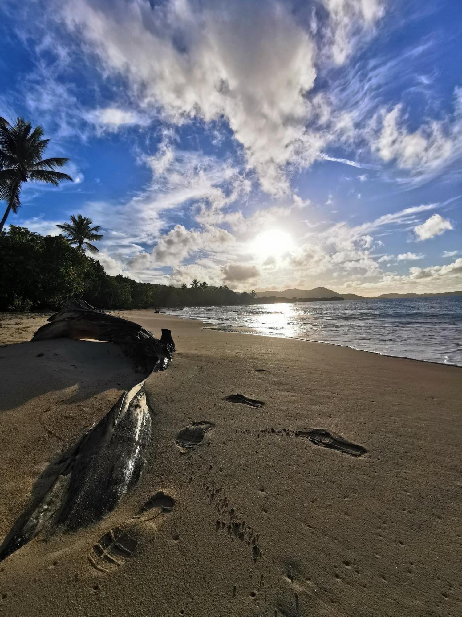 Ti'Bakoua A Sainte-Luce Plage Et Piscine 外观 照片