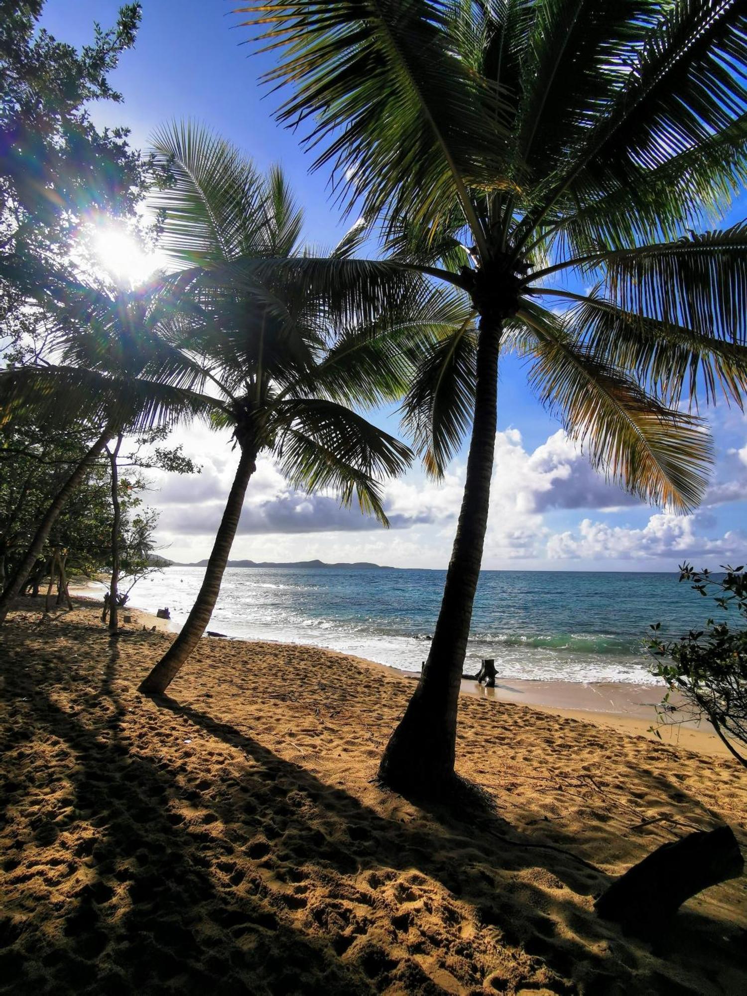 Ti'Bakoua A Sainte-Luce Plage Et Piscine 外观 照片
